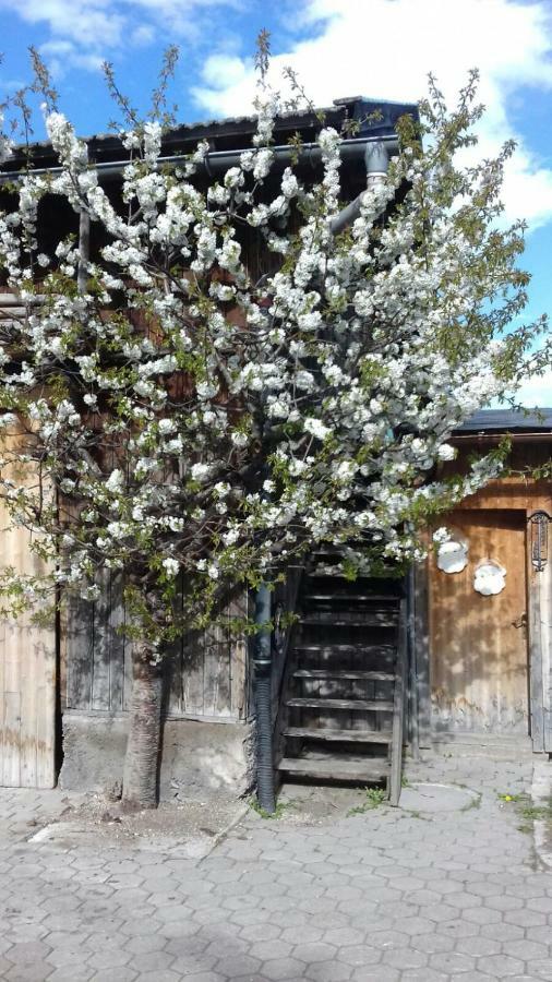 Thoamlhof Διαμέρισμα Leutasch Εξωτερικό φωτογραφία